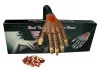 Professional practice hand for artificial nail construction (can be attached to a table)   