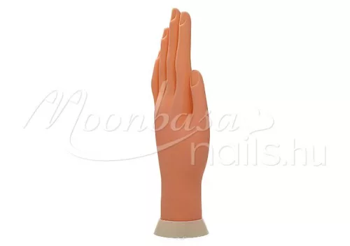 Professional practice hand for artificial nail construction  #047 