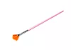 Fan brush  D053 Pink