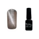 Tiger eye gel polish 5ml #844 Silver