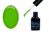 One step gel polish 5ml #313 Leaf green