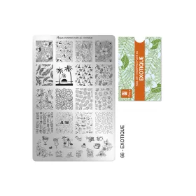 Stamping plate - Moyra  #66 Exotique
