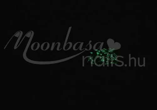 Phosphorescent gel polish 5ml #637 Glittery green