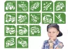 Vehicle template set, 15 pieces  #501553 
