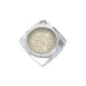 Fine glitter powder 3g CG231 