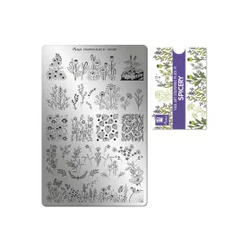 Stamping plate - Moyra  #91 Spicery