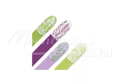 Stamping plate - Moyra  #91 Spicery