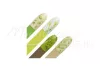 Stamping plate - Moyra  #97 Green leaves 2