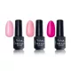 Valentine's Day 3-step gel polish set   
