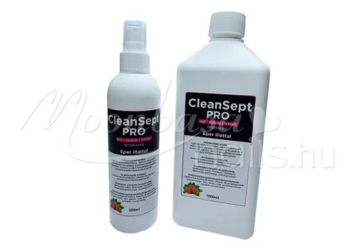 CleanSept Pro - Hand, instrument and surface disinfectant 250 ml  Strawberry scent