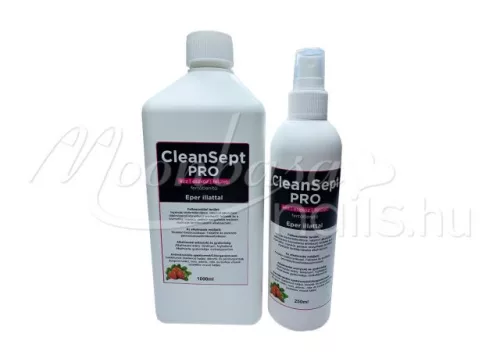 CleanSept Pro - Hand, equipment and surface disinfectant 1000ml  Strawberry scent