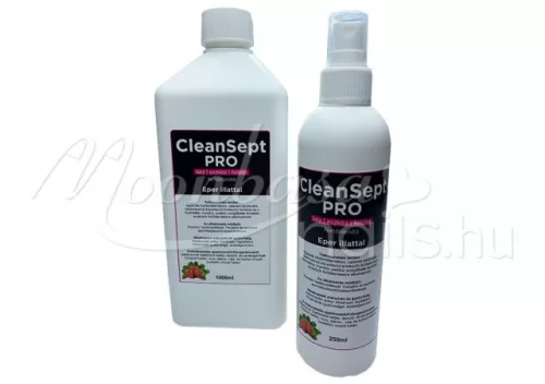 CleanSept Pro - Hand, equipment and surface disinfectant 1000ml  Strawberry scent